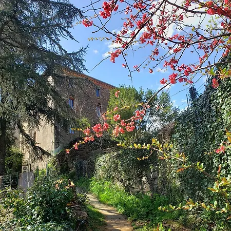 Guest house Le Cagnel *
